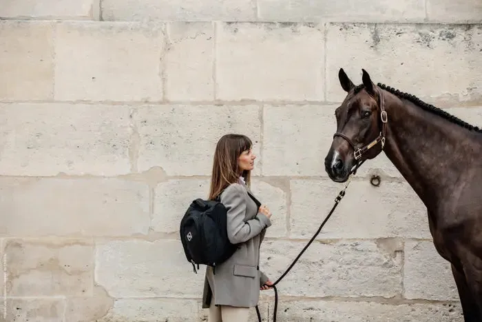 Kentucky Chestnut Helmet Bag